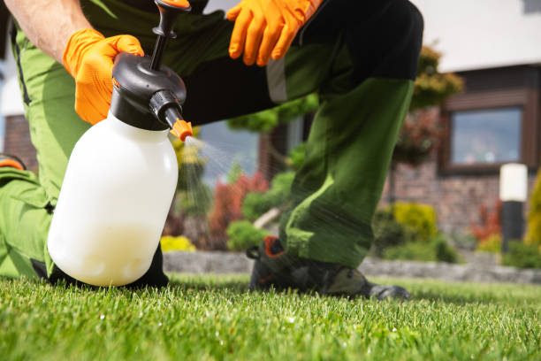 Best Mosquito Control Services  in Laie, HI